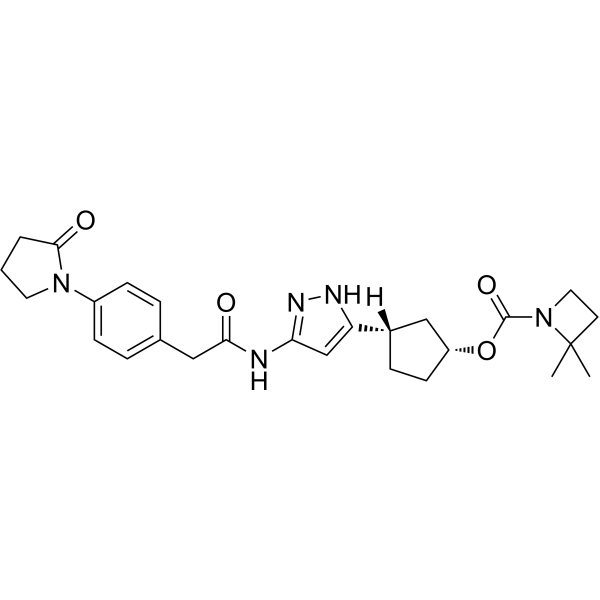 CDK2/MDM2-IN-1